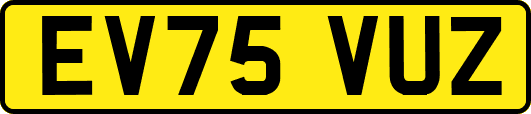EV75VUZ