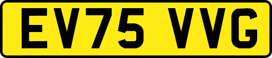 EV75VVG