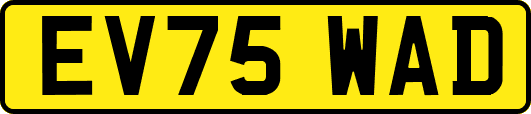EV75WAD