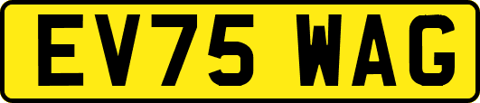 EV75WAG