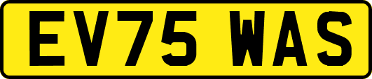 EV75WAS