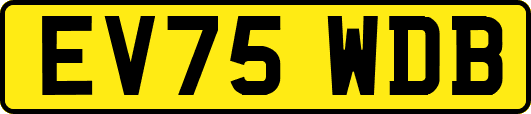 EV75WDB