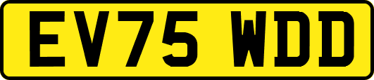 EV75WDD