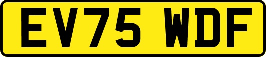 EV75WDF