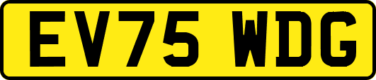 EV75WDG