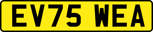EV75WEA