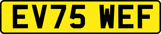 EV75WEF