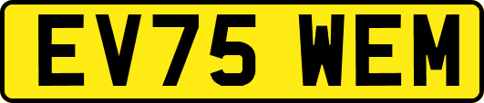EV75WEM