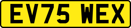 EV75WEX