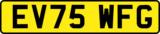 EV75WFG
