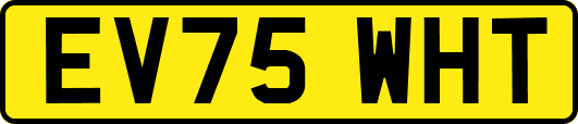 EV75WHT
