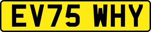 EV75WHY