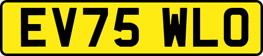 EV75WLO