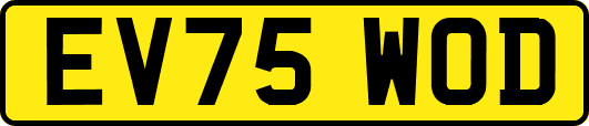 EV75WOD