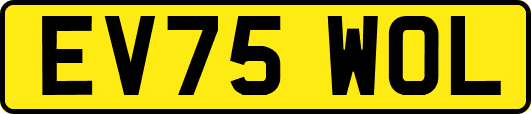 EV75WOL