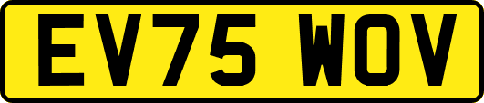 EV75WOV