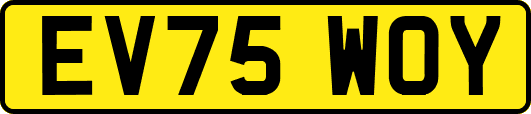 EV75WOY