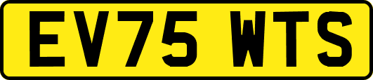 EV75WTS