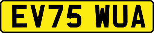 EV75WUA