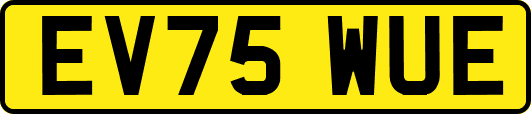 EV75WUE