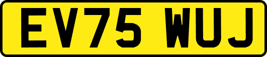 EV75WUJ