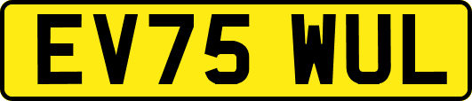 EV75WUL