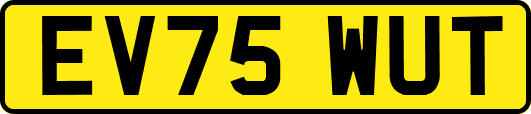 EV75WUT