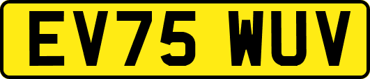 EV75WUV