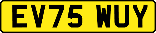 EV75WUY
