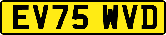 EV75WVD