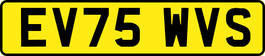 EV75WVS