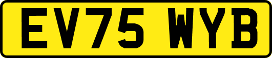 EV75WYB