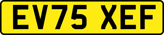 EV75XEF