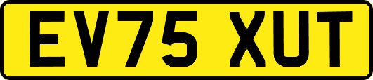 EV75XUT