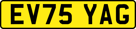 EV75YAG