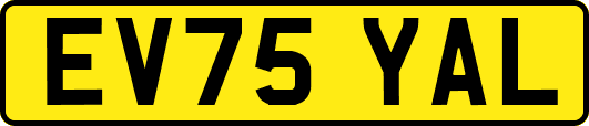 EV75YAL