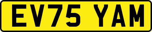 EV75YAM