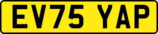 EV75YAP