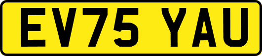 EV75YAU