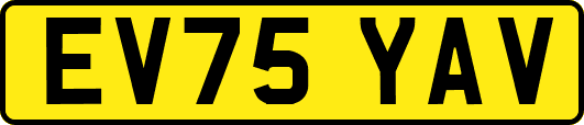 EV75YAV