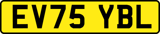 EV75YBL