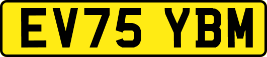 EV75YBM