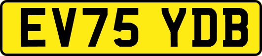 EV75YDB