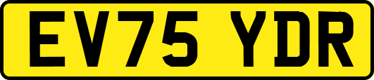 EV75YDR