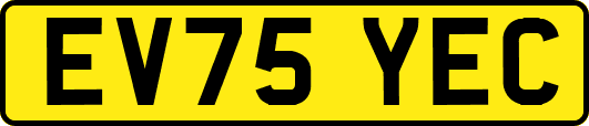 EV75YEC