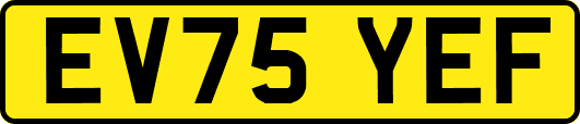 EV75YEF