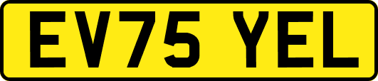 EV75YEL