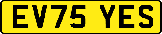 EV75YES