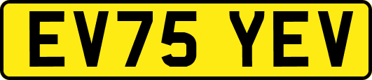 EV75YEV