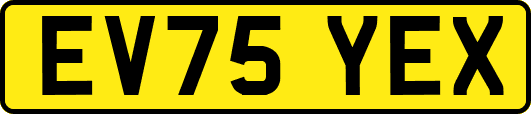 EV75YEX
